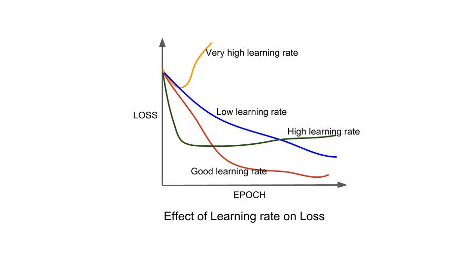 Learning Rate